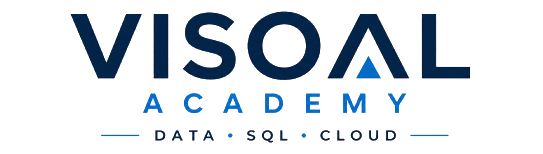 Logo Visoal